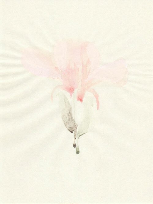 Fleur, 2013, pigments dilués sur papier, 20x14 cm, (collection privée).