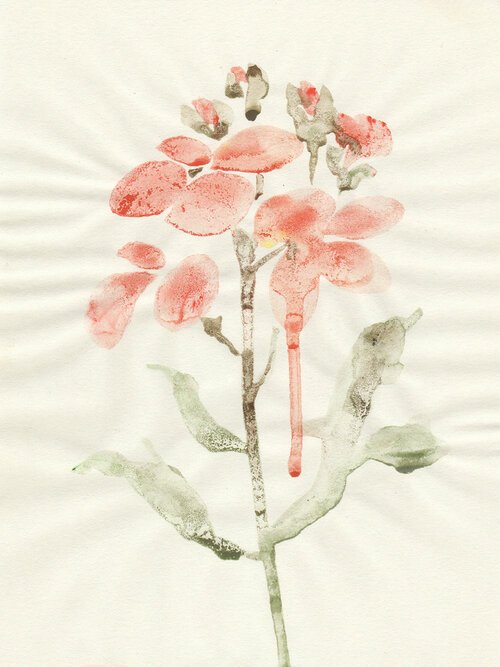 Fleurs, 2013, pigments dilués sur papier, 20x14 cm (collection privée).