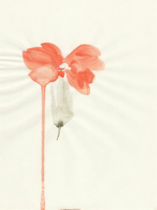 Fleur, 2013, pigments dilués sur papier, 20x14 cm.