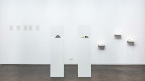 Le Temps de l'absolu, Galerie C, Neuchâtel, Suisse, 2015. 