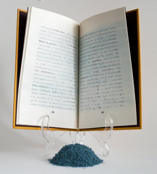 "La Mort de Bergotte", 2022, vingt pages effacées dans un volume spécialement relié en plein cuir incrusté d'une image par l'auteur, mont de poussière de gomme à encre.