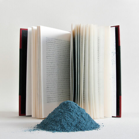 Impossible de lire la video